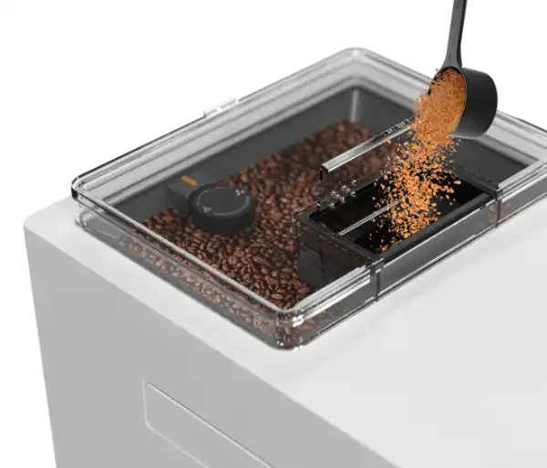 פולי קפה טריים